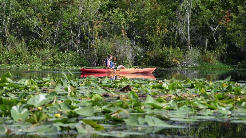 A visitor paddles a kayak in Lake Griffin State Park.